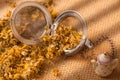Dried chamomile flowers Royalty Free Stock Photo