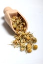 Dried chamomile flowers 4