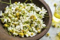 Dried chamomile flowers in wooden bowl Royalty Free Stock Photo