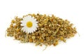 Dried chamomile tea