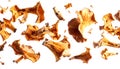 Dried Chanterelle Mushrooms Falling on Transparent Background Royalty Free Stock Photo