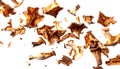 Dried chanterelle mushrooms falling on transparent background Royalty Free Stock Photo