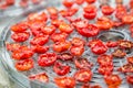 Dried cherry tomatoes Royalty Free Stock Photo