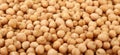 Dried chickpea beans close up background