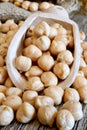 Dried chickpeas Royalty Free Stock Photo