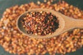 Dried chili flakes on wooden spoon. Close up view of crushed red cayenne pepper. Top view of dried red chili flakes. Royalty Free Stock Photo