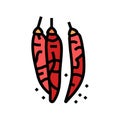 dried chili pepper color icon vector illustration