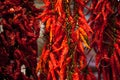 Dried chili peppers