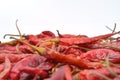 Dried Chili Peppers Royalty Free Stock Photo