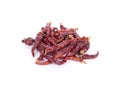 Dried chili peppers red on white background Royalty Free Stock Photo