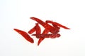 Dried Chili Peppers on white Royalty Free Stock Photo