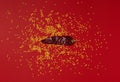 Dried Chili and Seeds on Red background, Pasilla Guajillo mexican spice flat lay