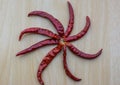 Dried chili on wood background