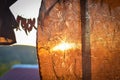 Dried chilies hanging on a rope in a village in susnset, Royalty Free Stock Photo