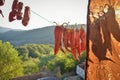 Dried chilies hanging on a rope in a village in susnset, Royalty Free Stock Photo