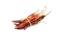 Dried chilli peppers isolated Royalty Free Stock Photo