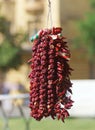 Dried chillies at the farmers market in Prague Royalty Free Stock Photo