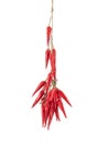 Dried chillies hanging on white background clipping path Royalty Free Stock Photo