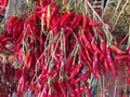 Dried Chillies