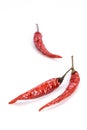 Dried chillies Royalty Free Stock Photo