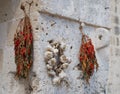 Dried Chillis and Garlic Royalty Free Stock Photo