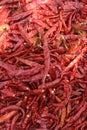 Dried chillis ready for sale Royalty Free Stock Photo