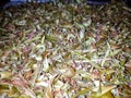 dried chopped lemongrass herb tisane tea Royalty Free Stock Photo