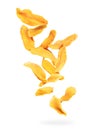 Dried chopped mango slices falling down on a white background Royalty Free Stock Photo