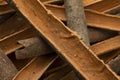 Dried Cinnamon bark close up full frame