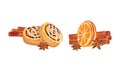 Dried Cinnamon Bark Strips or Sticks with Bun and Orange Slices Vector Set