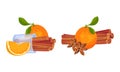 Dried Cinnamon Bark Strips or Sticks with Orange Fruit Vector Set