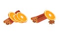 Dried Cinnamon Bark Strips or Sticks with Orange Slices Vector Set