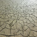 Dried clay displays a cracking texture on the ground