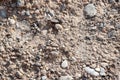 Dried clay with stones in the heat, on a sunny day