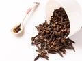 Dried Clove / indian spice laung isolated stock photo with white background.