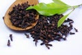 Dried clove seeds and leaves isolated