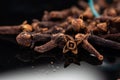 Dried clove spice next to test tube and cork