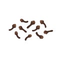 Dried cloves spice, flat style vector illustration isolated on white background Royalty Free Stock Photo