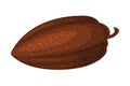 Dried cocoa bean. Chocolate dessert, drinks and pastry food ingredient cartoon vector illustration