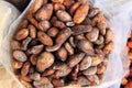 dried cocoa beans Royalty Free Stock Photo