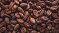 Dried cocoa beans and dried cocoa pods on wooden background