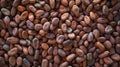 Dried cocoa beans and dried cocoa pods on wooden background