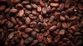 Dried cocoa beans and dried cocoa pods on wooden background