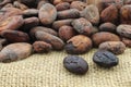 Dried cocoa beans and some peeled ones Royalty Free Stock Photo