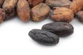 Dried cocoa beans and some peeled ones Royalty Free Stock Photo