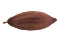 Dried cocoa pod on a white background