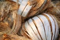 Dried coconut husk.