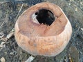 Dried Coconut Shell with Natural Hole on Soil Close Up Royalty Free Stock Photo