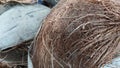 Dried coconut skin which can be used as material for burning fish