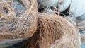Dried coconut skin which can be used as material for burning fish